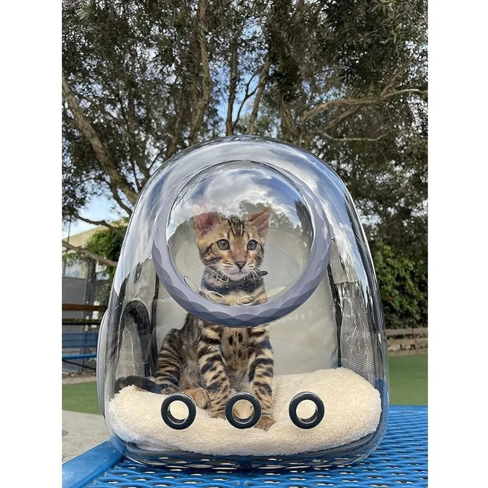 Space Capsule Bubble Cat Backpack Carrier Waterproof Green Pet Backpack